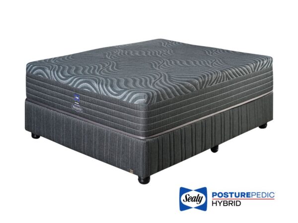 Sealy Synergy Firm Bed Set