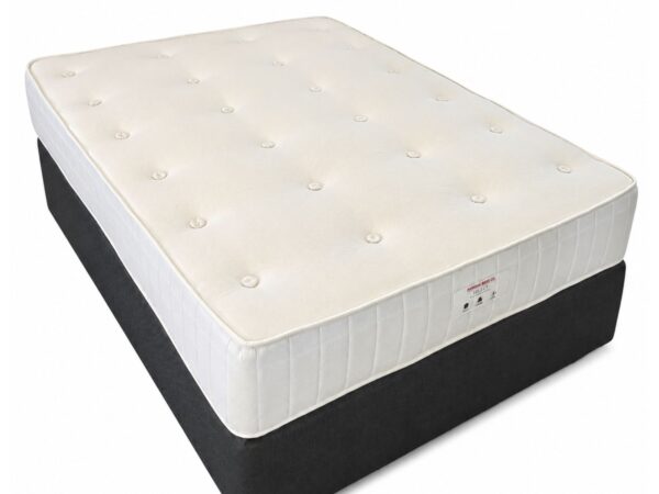 Famous Beds Co. Select Bed