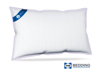Sealy Comfort Memory Pillow